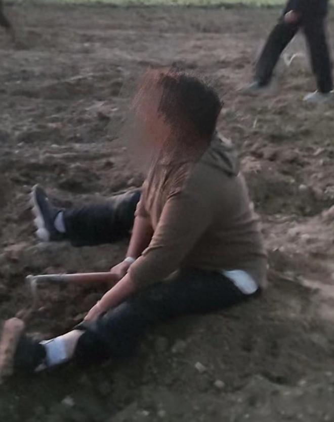 种白术赚钱吗_种植白术致富_2021年农民种植白术怎么样
