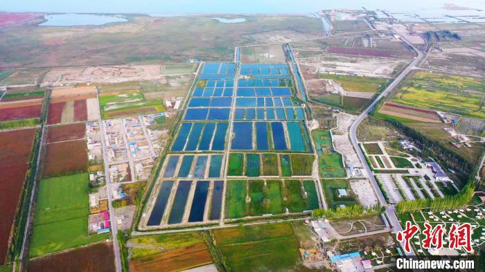 新疆水产养殖致富_新疆水产养殖基地_新疆水产品养殖