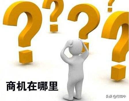养殖刺猬致富骗局_刺猬致富经_刺猬赚钱吗