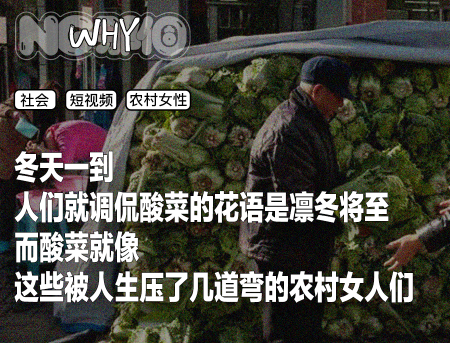 致富养猪场是真的吗_致富经 去猪毛_致富经养猪