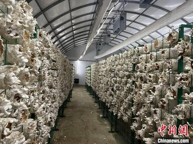 江西养殖致富_江西养殖业什么最赚钱农村_江西养殖户