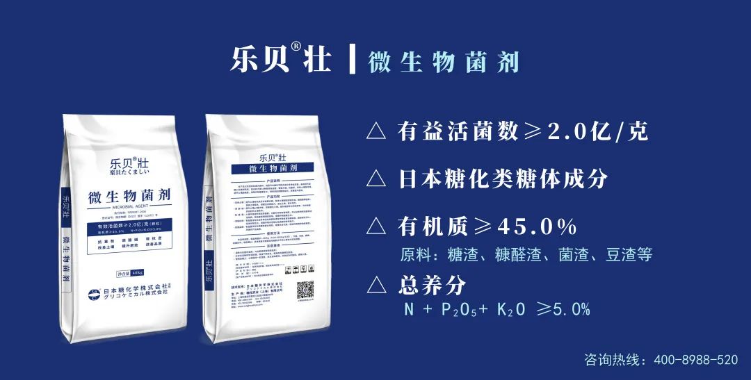 维山药的种植技术_山药的种植技术指导方法_山药种植栽培技术