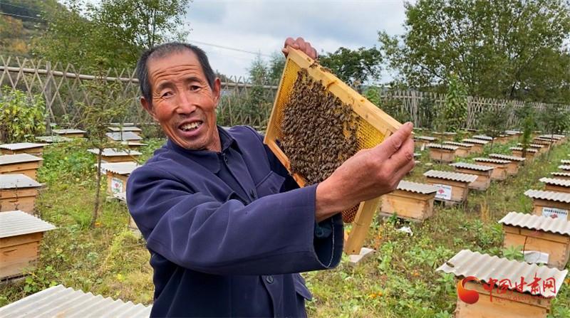 9月8号的致富经养蜂达人_致富经养蜂人_致富经2020年全集养蜂
