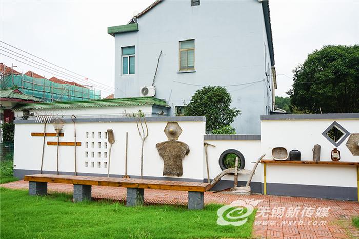 种草致富经_种植绿草皮 致富_种养致富