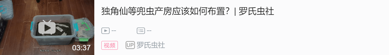 泥虫养殖支技术视频_泥虫如何养殖技术_虫泥养殖技术要点