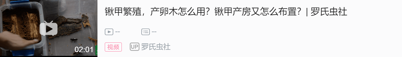 泥虫养殖支技术视频_虫泥养殖技术要点_泥虫如何养殖技术