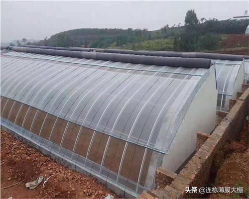 养猪大棚建设与建议
