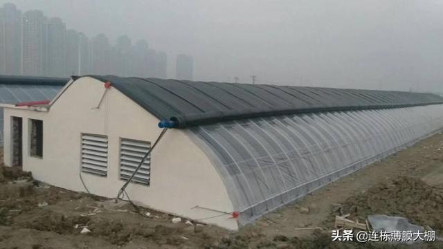 鹅养殖场地_养鹅育雏_雏鹅地下养殖技术