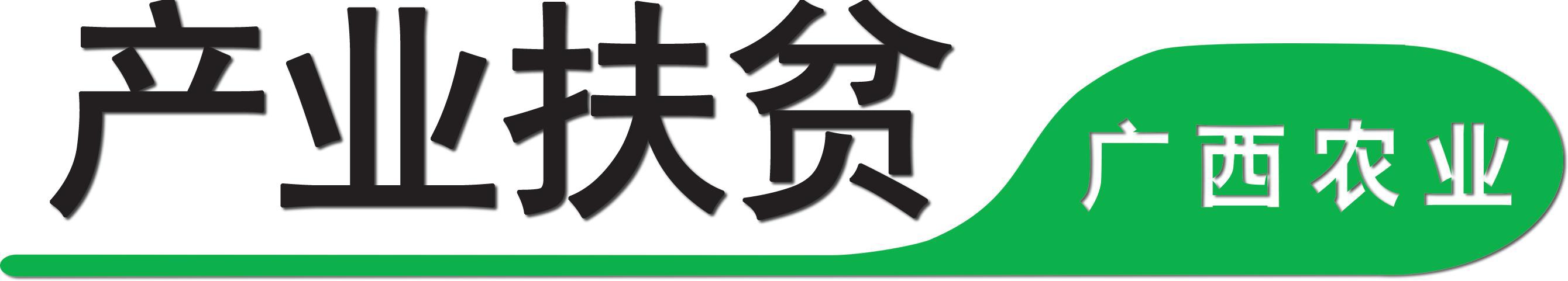 养鸽子致富视频全集_致富鸽养殖视频_致富三农养鸽视频