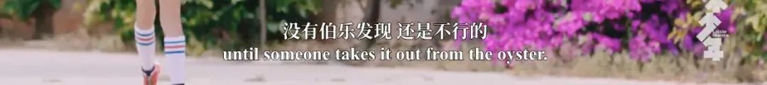 致富经 陈靖怡 野猪_致富经养野猪全部视频_致富经20161227养野猪