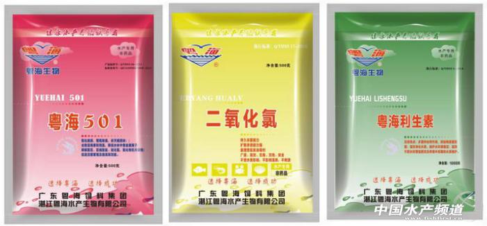 池塘对虾养殖技术视频_对虾养殖视频致富经_养虾技术视频池塘