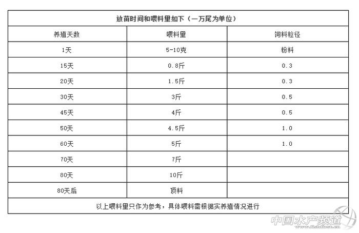 对虾养殖视频致富经_池塘对虾养殖技术视频_养虾技术视频池塘