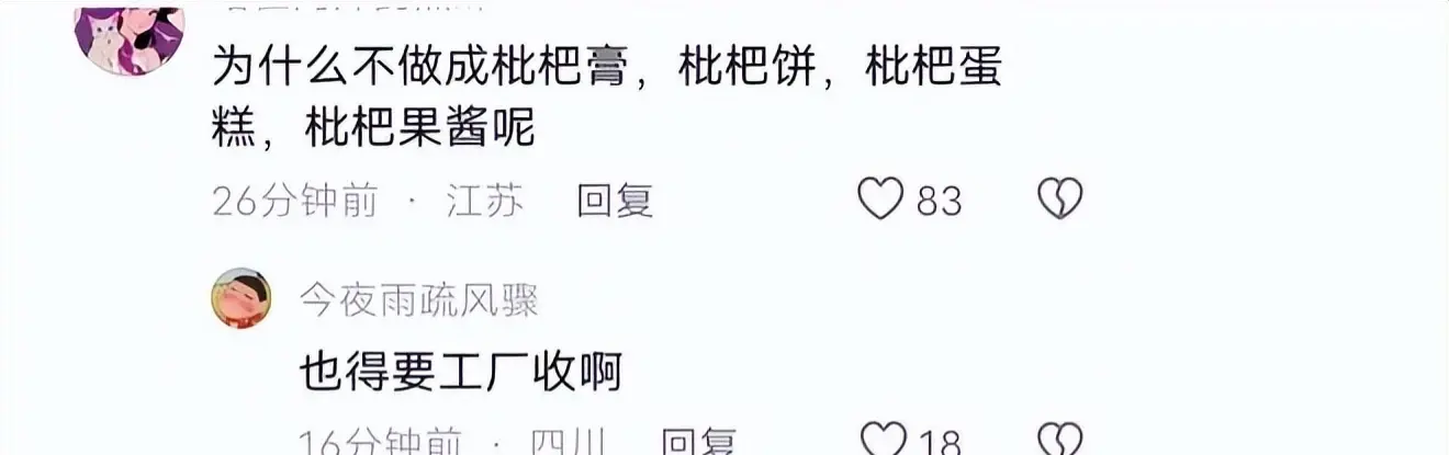 枇杷种植技术视频修剪_枇杷的栽培技术视频_枇杷的修剪视频农广天地
