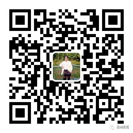 兰花家庭栽培与养护