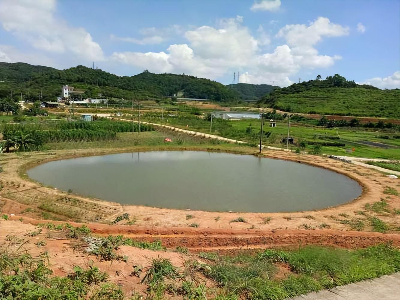 养殖甲鱼资料技术规范_养殖甲鱼的技术_甲鱼养殖技术资料