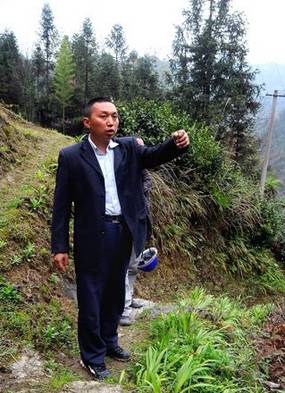 恩施魔芋基地联系方式_致富种植恩施魔芋视频_恩施魔芋种植致富