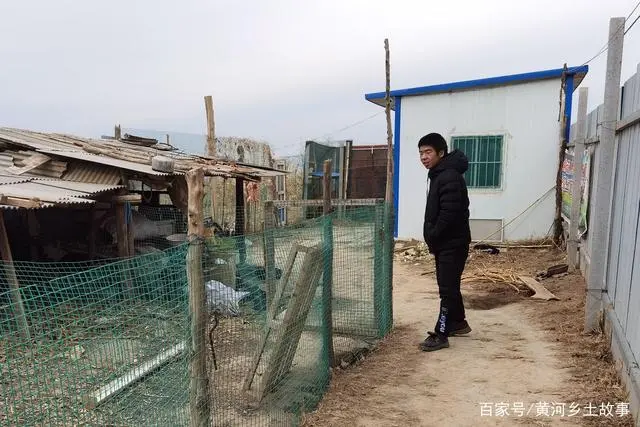 广西野兔分布_广西养殖野兔致富_农村养殖野兔