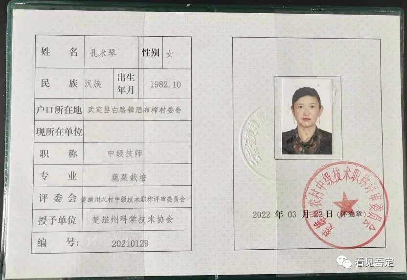 致富种植魔芋故事视频_魔芋种植致富故事_致富经种植魔芋视频