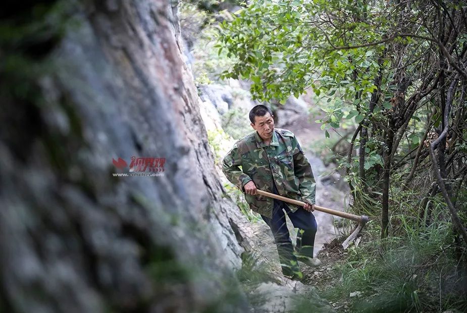 恩施魔芋基地联系方式_恩施魔芋种植致富_恩施哪里有魔芋种出售