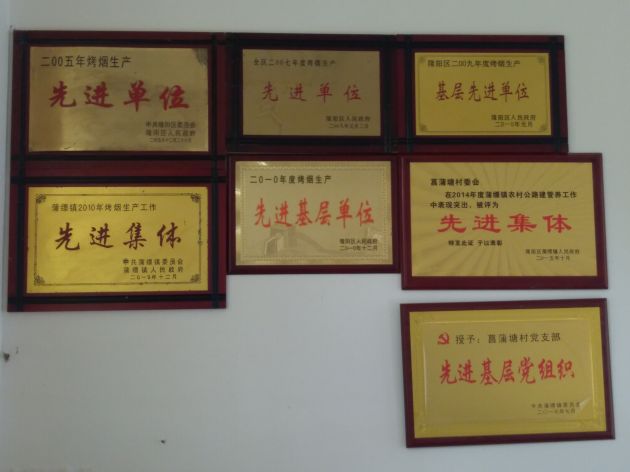 村级荣誉