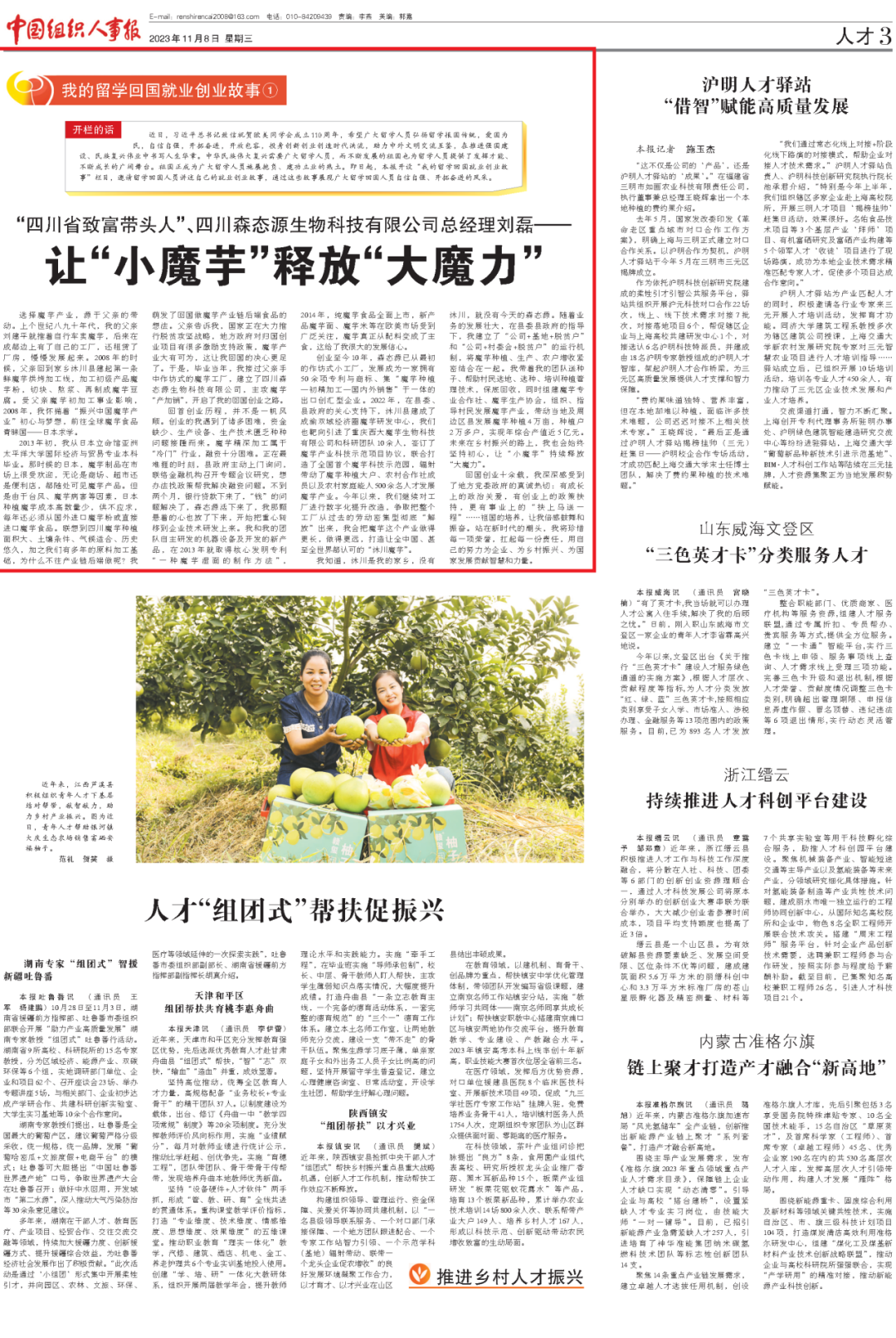 魔芋致富经_魔芋种植致富故事_致富经种植魔芋视频