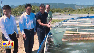 养殖运动鱼致富_致富经养殖鱼视频_致富养鱼视频