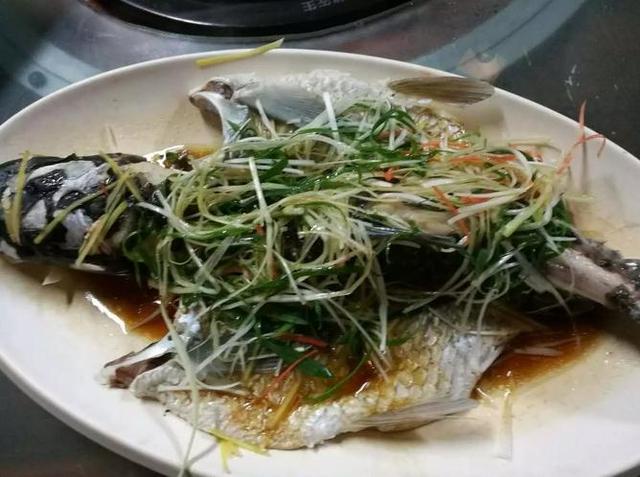 致富经养鱼一年多赚1000万_养殖运动鱼致富_致富养殖鱼运动视频