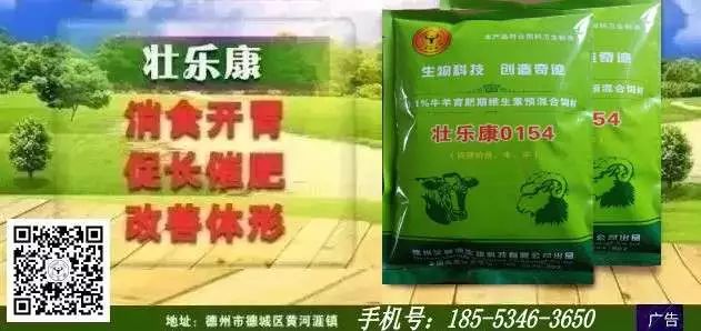 致富经羊养殖_养羊致富_要看致富经养羊