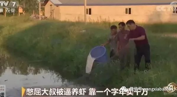 厉害！养虾赚钱有门道,靠一个字年卖上千万！还登上了央视...