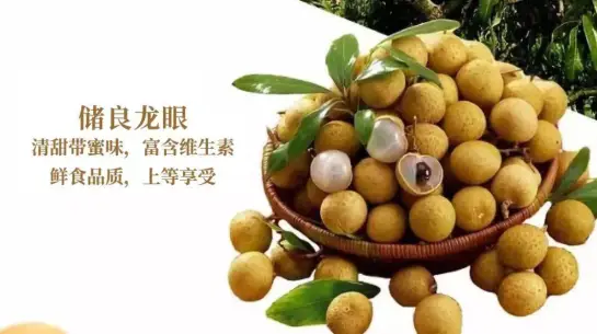 种植龙眼赚钱吗_龙眼种植技术和利润_种植利润龙眼技术规范