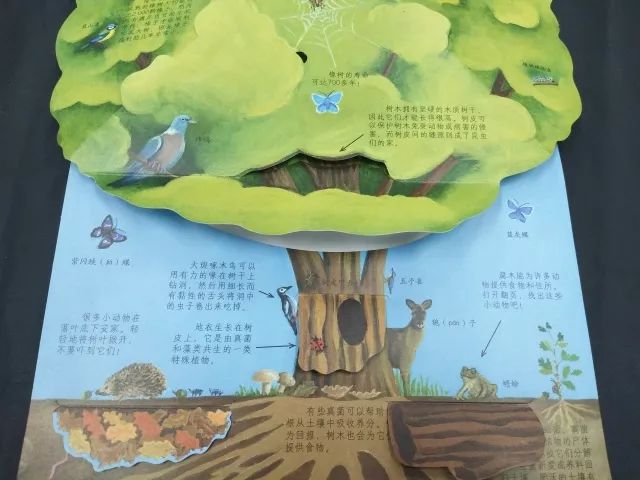 种养致富_未知植物养殖致富_致富未知养殖植物