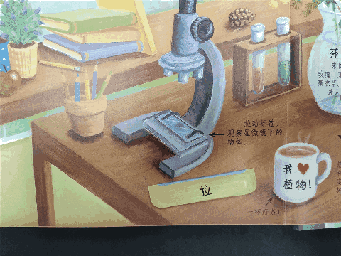 种养致富_未知植物养殖致富_致富未知养殖植物
