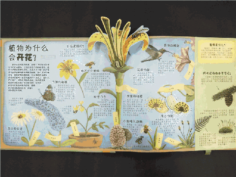 未知植物养殖致富_种养致富_致富未知养殖植物