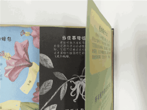未知植物养殖致富_种养致富_致富未知养殖植物