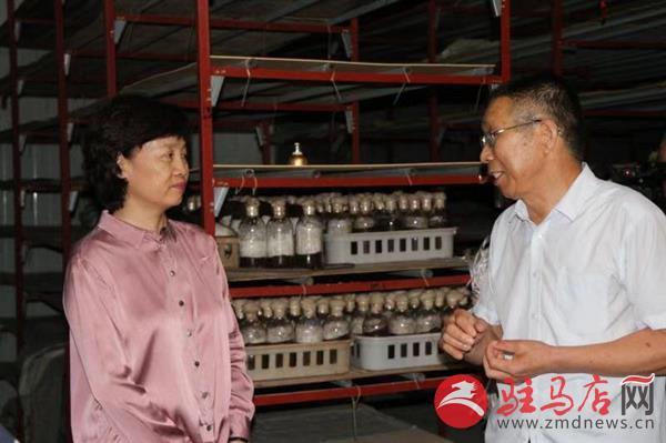 夏南牛母牛繁殖技术_夏南牛养殖基地_夏南牛养殖技术视频