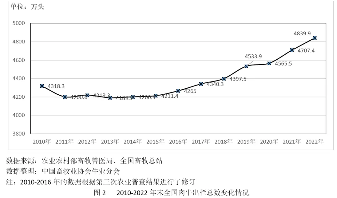 养殖肉牛的技术有哪些_养殖肉牛技术要点_养肉牛养殖技术