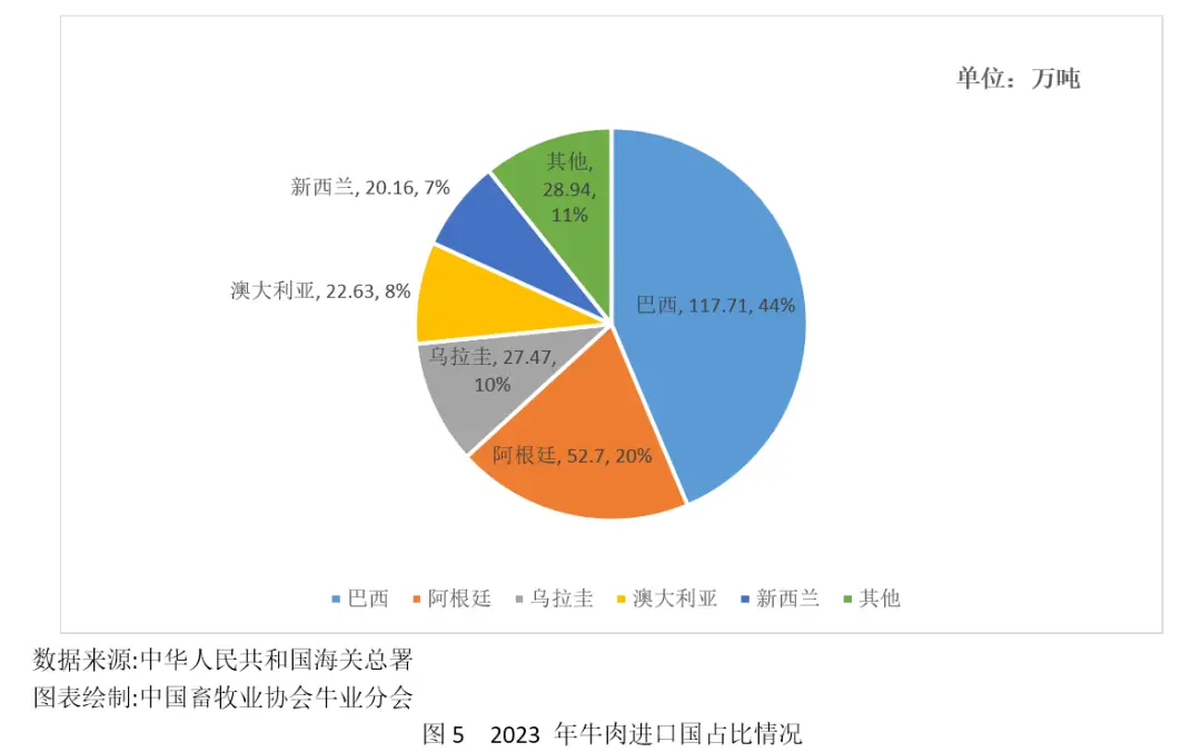 养殖肉牛技术要点_养肉牛养殖技术_养殖肉牛的技术有哪些