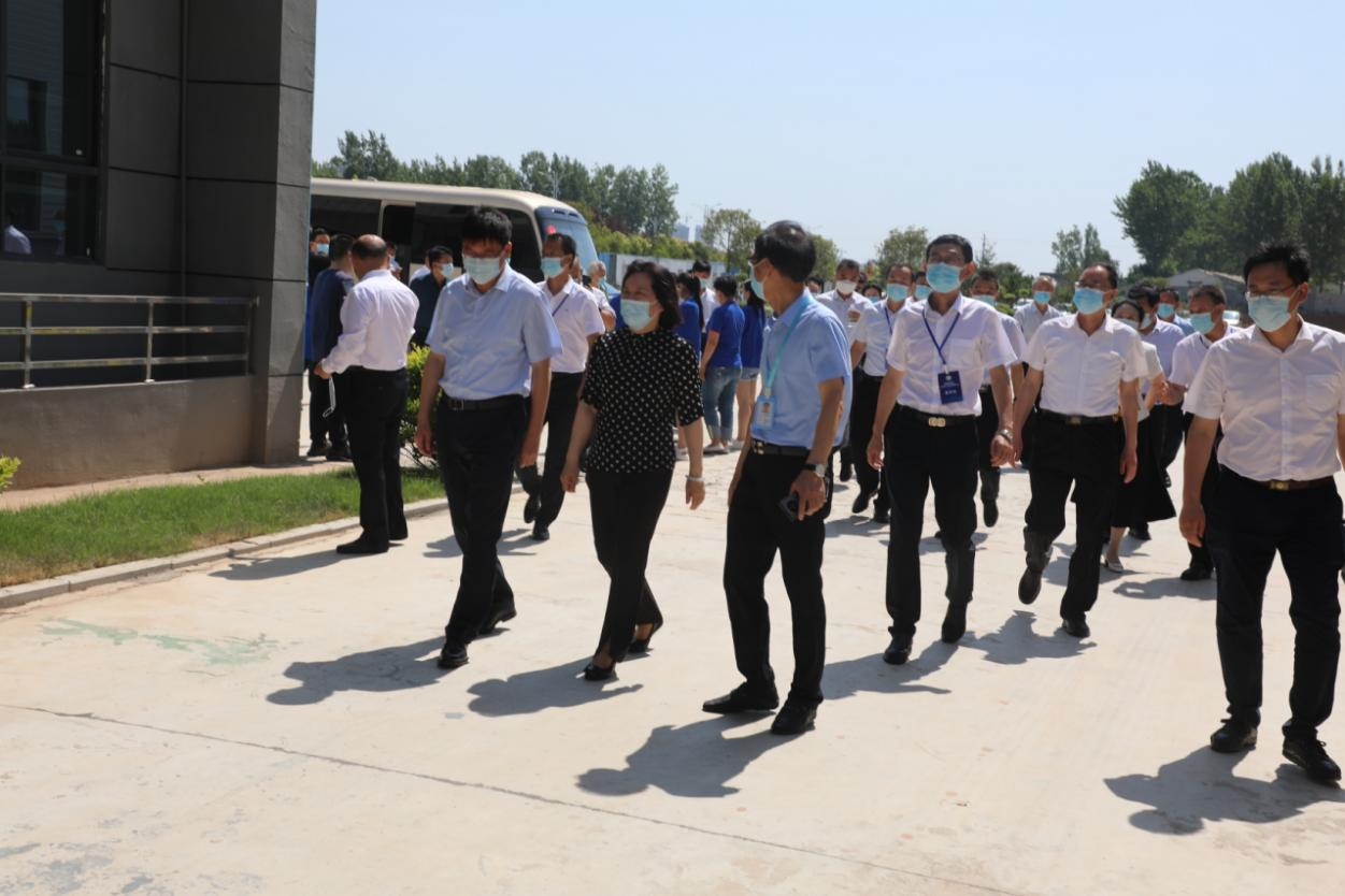 夏南牛养殖技术视频_夏南牛养殖基地_夏南牛养殖成本