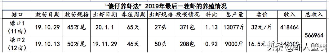 水产养殖，不用药也能养出好虾！看年入200万的他如何两年都赚钱