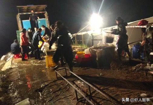 水产养殖，不用药也能养出好虾！看年入200万的他如何两年都赚钱