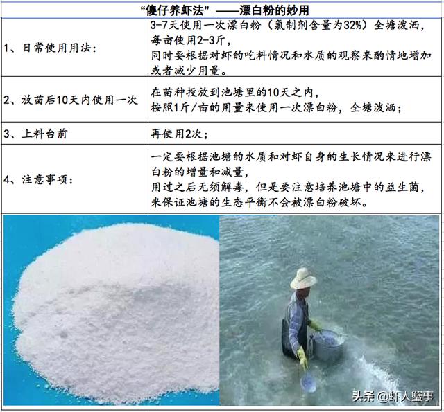 水产养殖，不用药也能养出好虾！看年入200万的他如何两年都赚钱