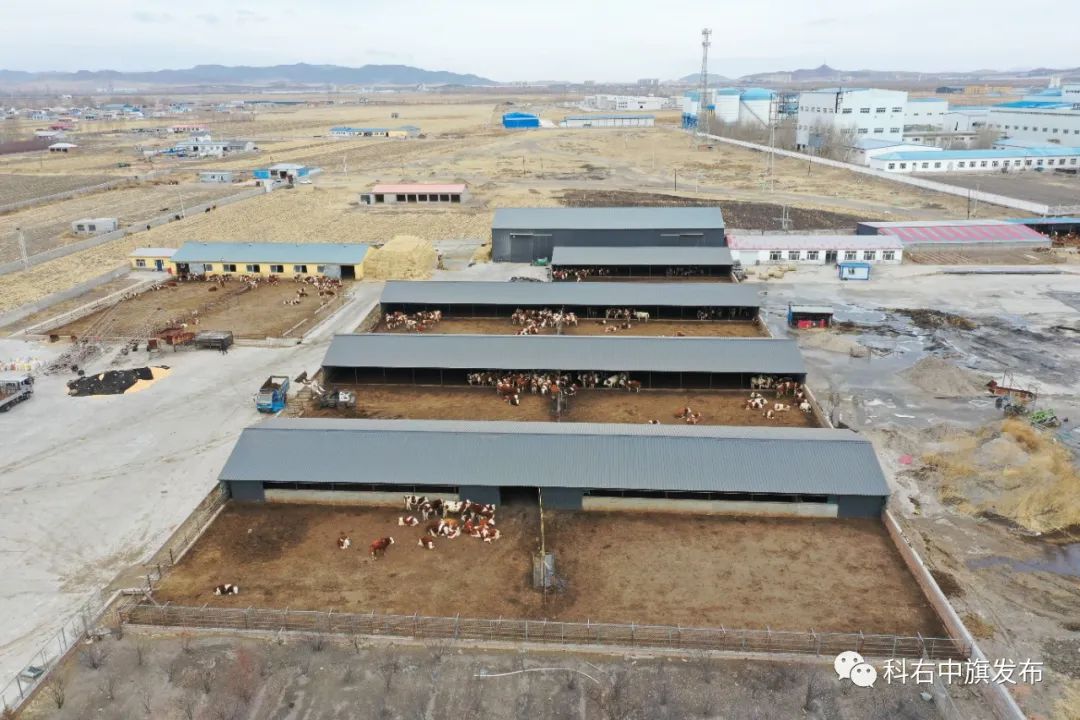 发展壮大养殖合作社 激活乡村振兴新动力