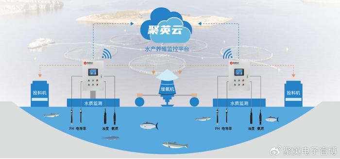 水产高效养殖模式_水产养殖技术输出_水产养殖出路