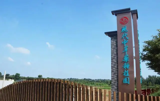 致富种植药中草项目新闻稿_中草药种植致富新项目_致富经中草药种植项目