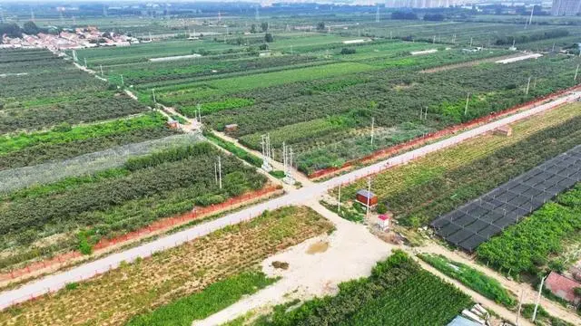 致富种植药中草项目新闻稿_中草药种植致富新项目_致富经中草药种植项目