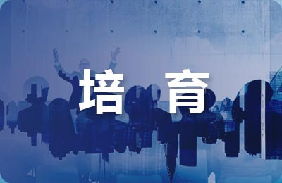 莲藕培育诀窍