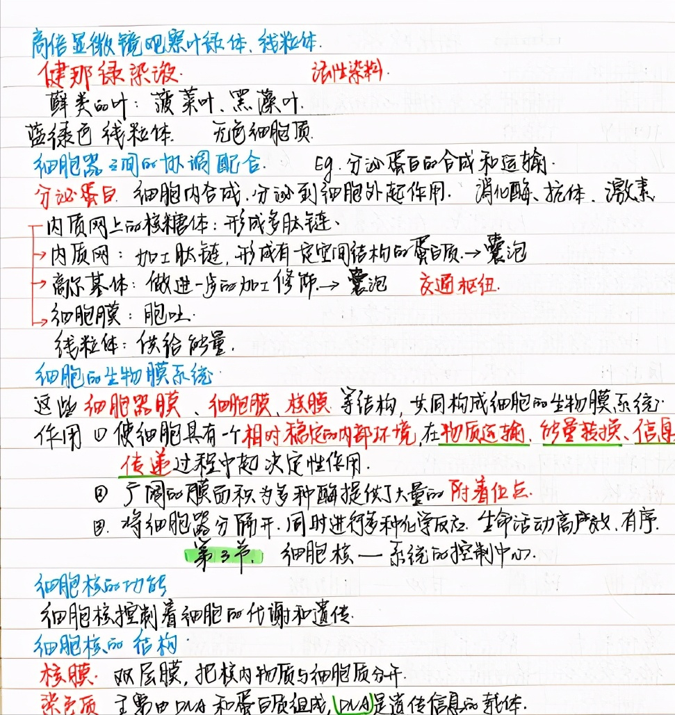 高中学校经验分享_高中学生经验分享发言稿_优质高中生学习经验