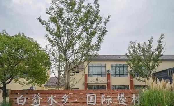 致富经牛蛙致富视频_浙江牛蛙致富经_浙江牛蛙养殖基地在哪里