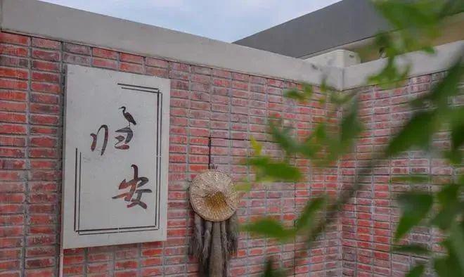 致富经牛蛙致富视频_浙江牛蛙致富经_浙江牛蛙养殖基地在哪里