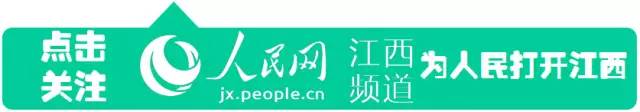 致富经王忠华_致富经养黄鳝王忠华_致富经王忠华养黄鳝视频